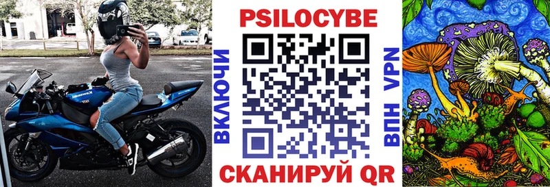 Псилоцибиновые грибы прущие грибы  Гагарин 